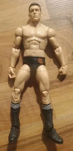 Cody Rhodes 2010 WWE Mattel Elite Collection Series 3 Legacy American Nightmare - Picture 1 of 7