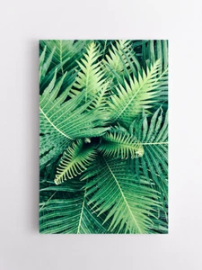 Blatt Leinwandbilder Farnblatt Botanik Wandbilder Leinwand Bild Vlies  XXL - Bild 1 von 7