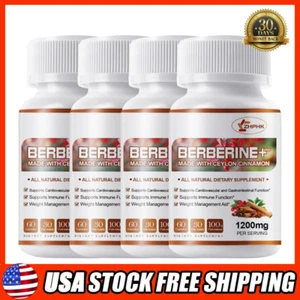 Premium Berberine HCl with Ceylon Cinnamon 1200mg - Blood Sugar, Immune Support - Picture 1 of 16