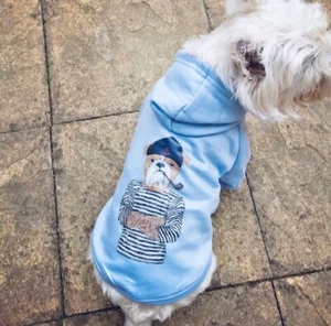 Urban Pup Blue Dog Jumper- Size L- Fits very small dog- (New without tags) - Picture 1 of 4