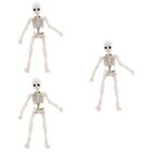  3 Pieces Skelett Mann Modell Gruseliges Halloween-Dekor Schmcken