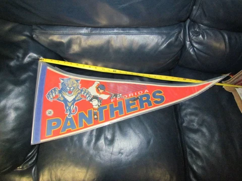 VINTAGE FLORIDA PANTHERS PENNANT by WINCRAFT NHL Cover