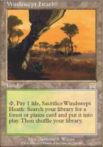 Heavy Played, Inglés - 1 x Magic The Gathering Windswept Heath Onslaught Foto 1 de 1
