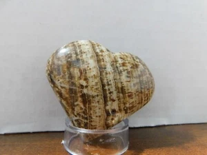 HERMOSA PIEDRA PISAPAPELES ARAGONITA CON BANDAS EN FORMA DE CORAZÓN -3,1 OZ-- PERÚ - Imagen 1 de 8