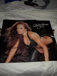 Christy Hemme Signed Big Wwe Divas Search Poster Wwe Wwf - Picture 1 of 6