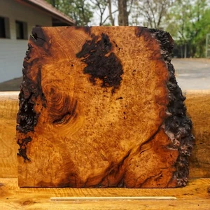 Rare AMBOYNA BURL LUMBER Gold Live Edge Wood Block  Epoxy Resin DIY Table Top - Picture 1 of 14