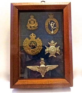 5 britische Mützenabzeichen aus dem Zweiten Weltkrieg gerahmt in Glas & Nussbaumrahmen - Bild 1 von 8