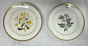 2 Assiettes anciennes de Creil médaille d or - Picture 1 of 7