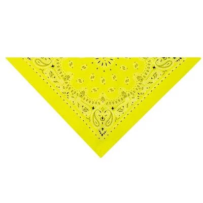 Paisley Bandana Brights Perro Mascota Bufanda Cuello COLLAR Western 6 Colores Talla Única Foto 1 de 4