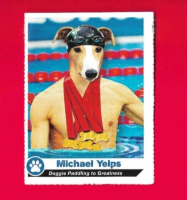 2013 SI Kids Top Dog Michael Phelps Yelps Sports Illustrated Canine 'Paddle' #D2 Foto 1 de 2