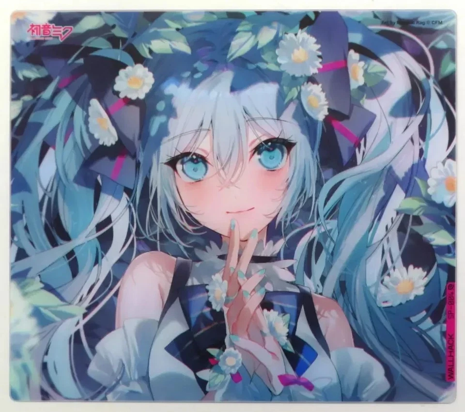 Wallhack SkyPAD SP-004 Hatsune Miku Gaming Mouse Pad Glass Pad usato dal... - Immagine 1 di 1