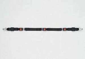 Cinturón de regazo Premium para Serie A-Longitud de pista: 108" | FE200612 - Imagen 1 de 2