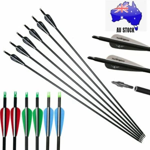 12Pcs 31" Carbon Arrows Archery for Outdoor Bow Hunting Screw-in Point Target - Picture 1 of 41