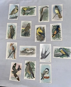 Carte collezionabili utili Birds Of America 10° serie 1-15 - Foto 1 di 4