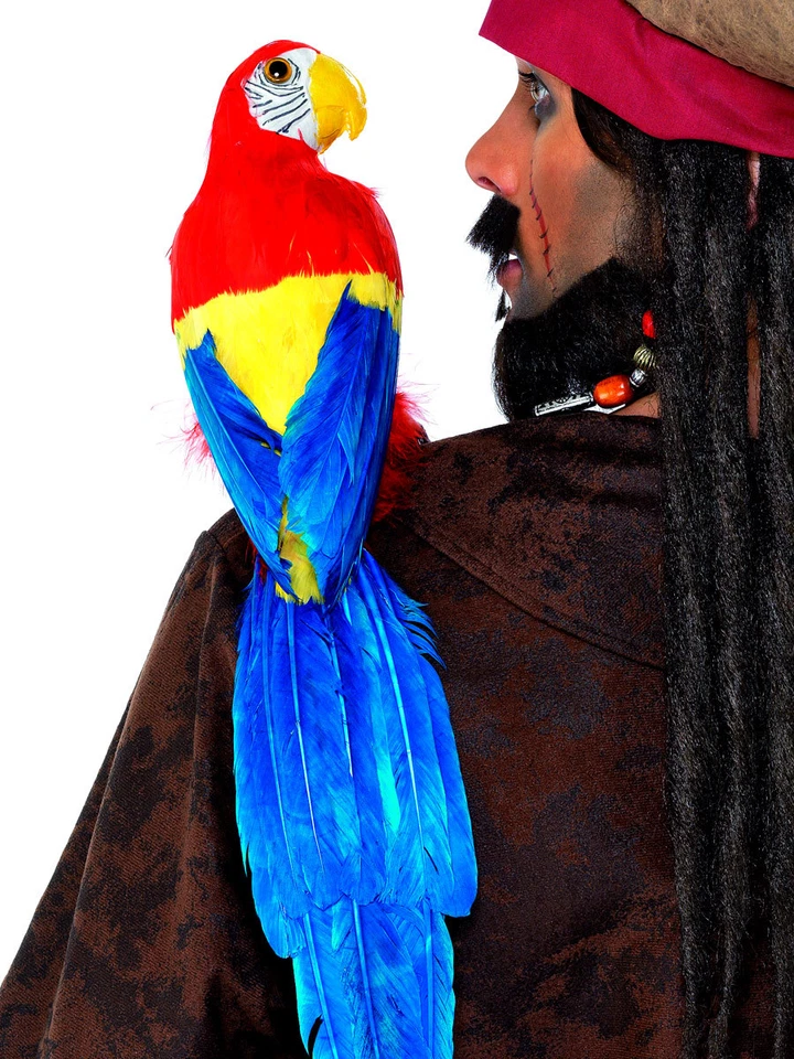 20" PIRATE PARROT ON SHOULDER MACAW BIRD SKULLY PIRATE COSTUME PROP ACCESSORY - Image 1 of 1