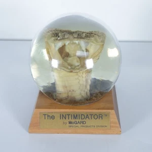 TAXIDERMIA CABEZA SERPIENTE DE CASCABEL GRANDE DE COLECCIÓN en VIDRIO "The Intimidator" por McGard - Imagen 1 de 7