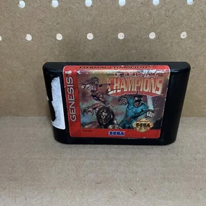 Eternal Champions (Sega Genesis, 1993) solo cartucho - probado - Imagen 1 de 4