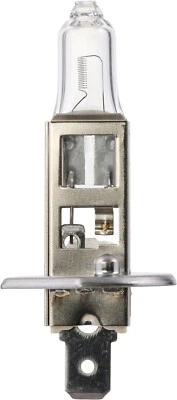 Bombilla antiniebla para Tornado, Monster 1200, Monster 1200 S+More H1MDC1 Foto 1 de 4