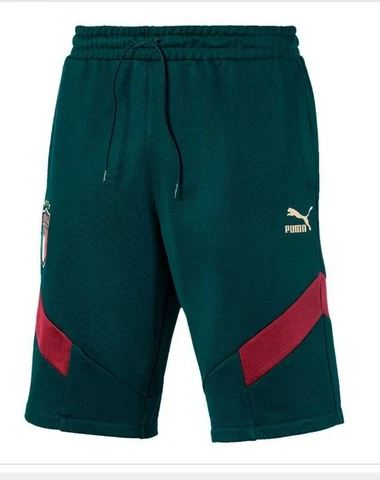 Italia Italy FIGC Puma Shorts ICONICS MCS Green Euro 2020 756663 02 Sz S No Tag Cover