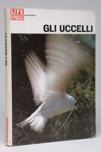 Life Classic' Gli Birds " Collana' the Regni Della Vita ' - Picture 1 of 1