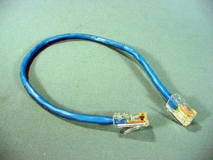 Leviton 52455-1BL Blue Cat5 1ft Ethernet Cable LAN Data Patch Cord Network 8P8C - Picture 1 of 4