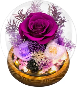 Preserved Flowers for Mom - Preserved Purple Roses in Glass Dome with LED Light  - Picture 1 of 12