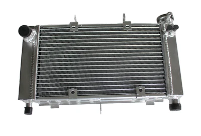 Radiador de aluminio para Yamaha FZ6 FZ-6 FZ600 FZS6 2004-2006 Foto 1 de 4