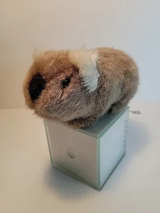 American Girl Doll Kira's Pet Koala Brown  Plush  Stuffed Animal 2020 GVF48 - Picture 1 of 6