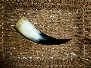 Wikinger Horn Trinkhorn versch.Größen 0,2l,0,3l,0,5l ideal für den Met Honigwein - Bild 1 von 4