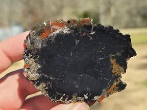 Petrified Wood Green River Utah Redwood Agate Jurassic Conifer U.V. Reactive - Picture 1 of 2