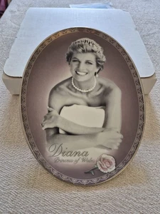 Bradford Exchange Portraits Of Diana Oval Plate First Issue, Always Diana - Picture 1 of 6