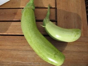Aubergine Thai Long Green - 5+ seeds - Graines - SPECIAL and FINE! - So 020 - Picture 1 of 1