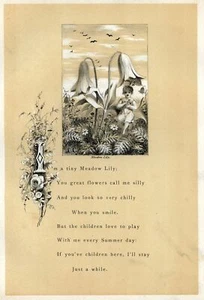 MEADOW LILY 1877 vintage art print fairy with poetry, 1877 illustration art - Picture 1 of 5