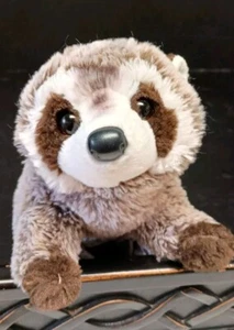 Realistic Plush Raccoon By Douglas Cuddle Toys 14"  - Picture 1 of 7