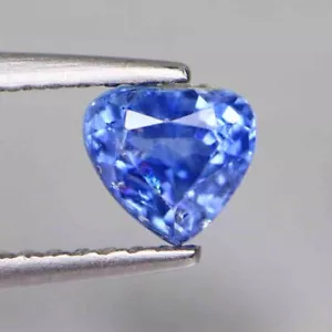 0.80 Cts Royal Blue 100% Natural Sapphire Unheated Burma Loose Gemstones - Picture 1 of 5