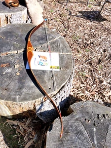 Vintage Black Hawk Archery Cravotta Bros. Hornet recurve 44# - Picture 1 of 7