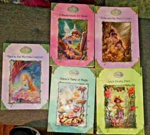 Disney Fairies Chapter Books Set Lot Of 5 Tink Lily Dulcie RaniVidia RLl 2.7-3.3 - Picture 1 of 2