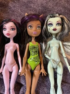 Monster High Puppe Konvolut 3 Puppen Claudia Wolf Frankie Stein Draculaura - Bild 1 von 18