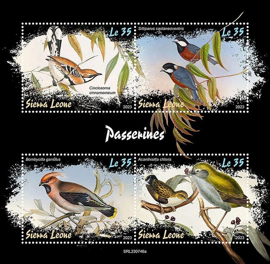PASSERINES Passerine / BIRDS Bird MNH 4v-Stamp Sheet #2306 (2023 Sierra Leone) - Image 1 of 1