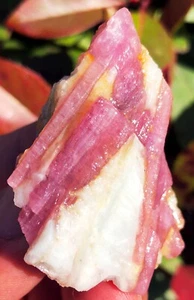 40,0 g natürlicher roter Turmalin Kristall grober Stein Gestein Präparat ia9393 - Bild 1 von 15