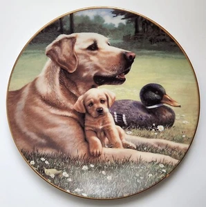 Golden Labrador Dog & Puppy Like Father Like Son Collector Plate - Picture 1 of 4
