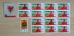 Topps UEFA Euro 2024 Complete Team Wales + Foil Badge - Bild 1 von 1