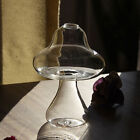 Mushroom Shaped Glass Vase Transparent Hydroponics Plant Vase Room Decor