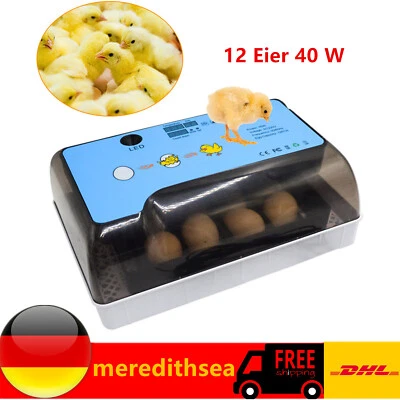12 Eier Eierinkubator Brutautomat Brutmaschine Flächenbrüter Egg Incubator 40 W - Bild 1 von 4