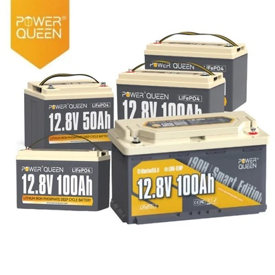 Power Queen 12V 50Ah 100Ah 200Ah 410Ah LiFePO4 Lithium Batterie mit 100/200A BMS