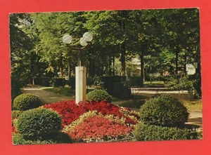 Vals De Bains - Los Encolada con Flores Del Parque (Ref.B7811) - Imagen 1 de 2