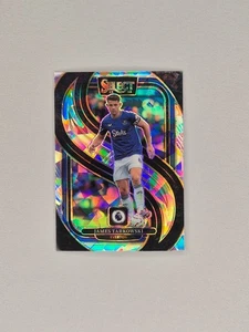 Panini Premier League Select 2024-25 James Tarkowski Ice Prizm - Picture 1 of 2