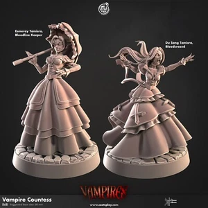 Elegante Vamir Lady Miniatura Set Non Morti Orda Figura per Ttrpgs Come D 5e - Bild 1 von 14