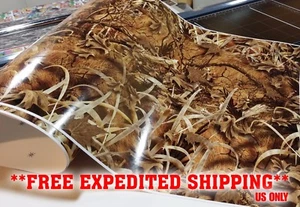 CAMOUFLAGE 3M WRAP VINYL DECAL 48" x 15" TRUCK WRAP TREE PRINT DUCK CAMO GRASS - Picture 1 of 10