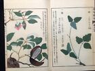 Japan Edo Illustrated book of flora HONZO ZUFU Color Woodblock print book Vol.27